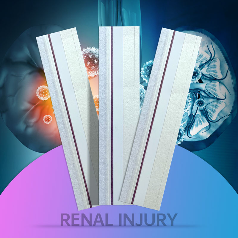 Renal Injury Test Uncut Sheet